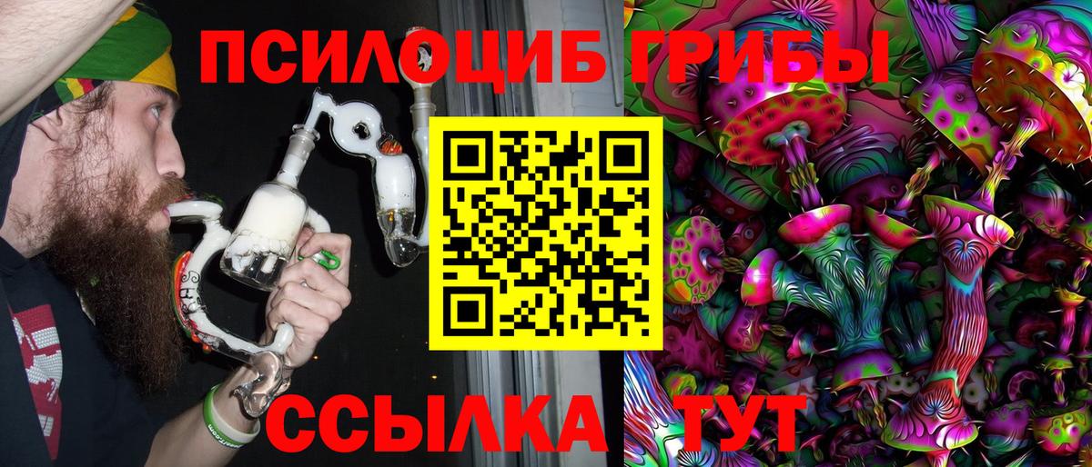 Галлюциногенные грибы Cubensis Каспийск